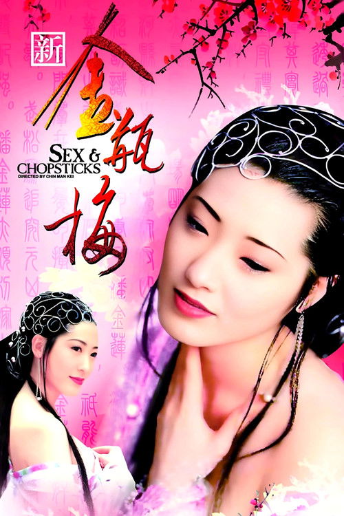 新金瓶梅 封面