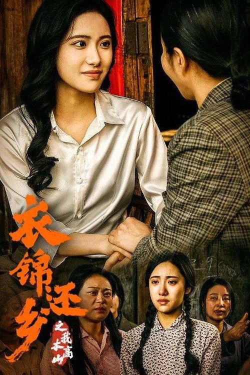 衣锦还乡之我本高山 封面