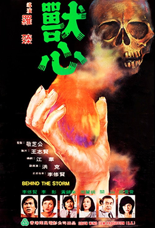 兽心 封面