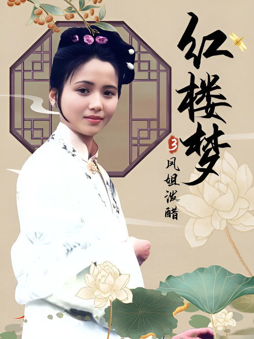 红楼梦第三部:凤姐泼醋 封面