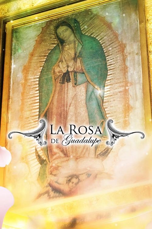 La rosa de Guadalupe 封面