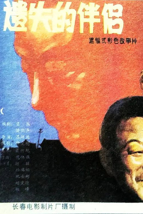 遗失的伴侣 封面