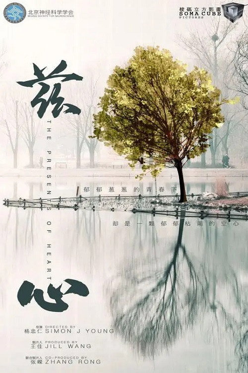 兹心 封面