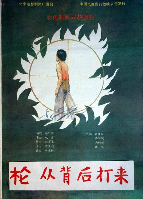 枪从背后打来 封面