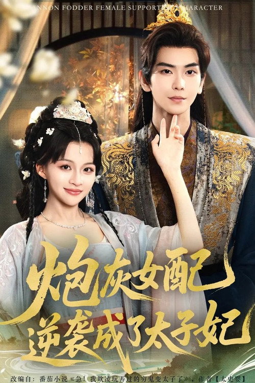炮灰女配逆袭成了太子妃 封面