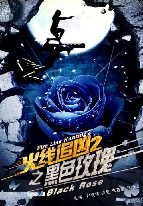 火线追凶2之黑色玫瑰 封面