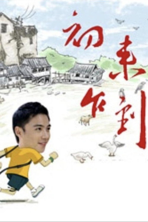 初来乍到 封面