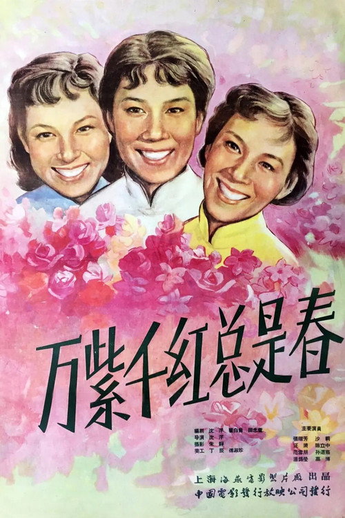 万紫千红总是春 封面