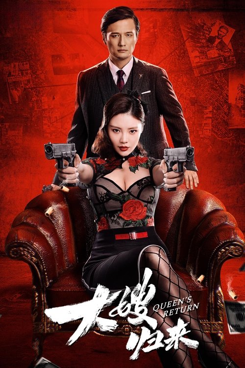 大嫂归来 封面