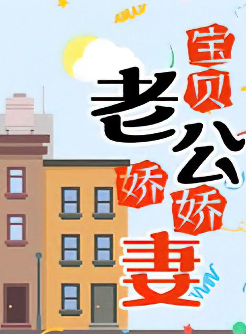 宝贝老公娇娇妻 封面