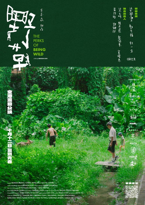 野草 封面
