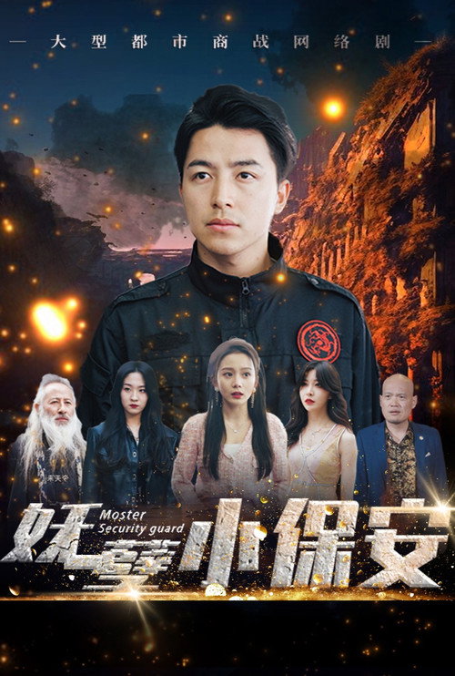 妖孽小保安 封面