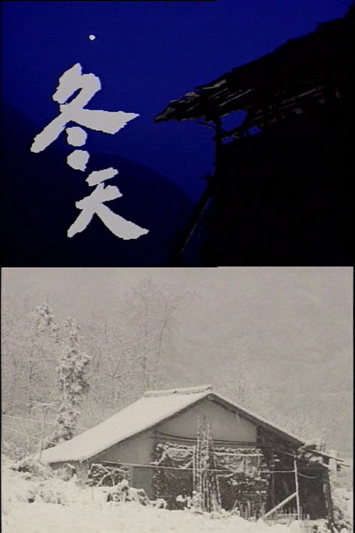 冬天 封面