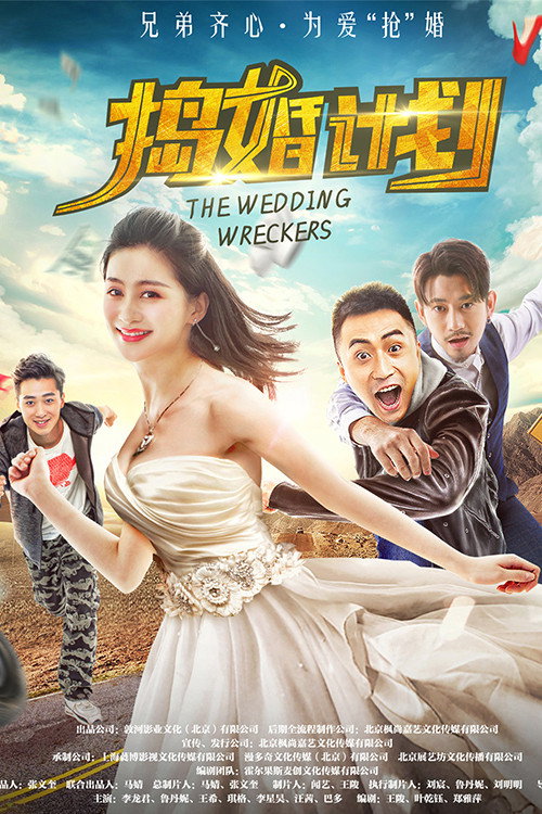捣婚计划 封面