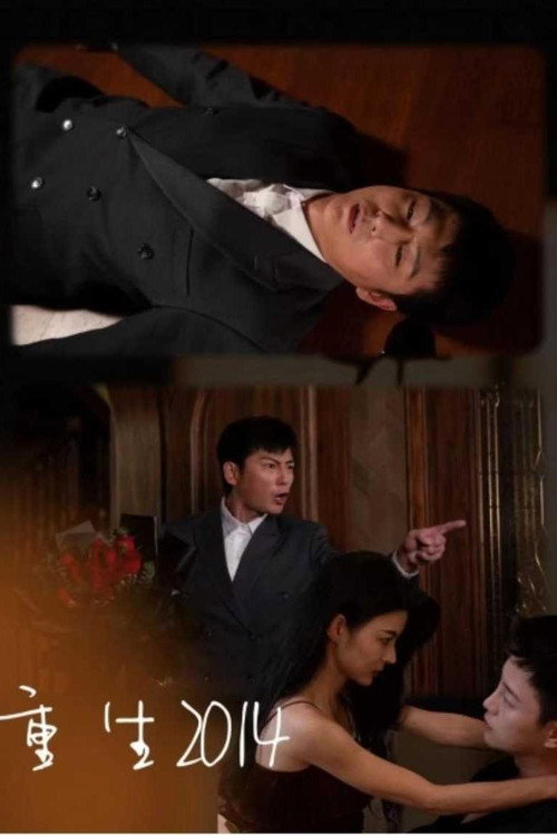 重生2014 封面