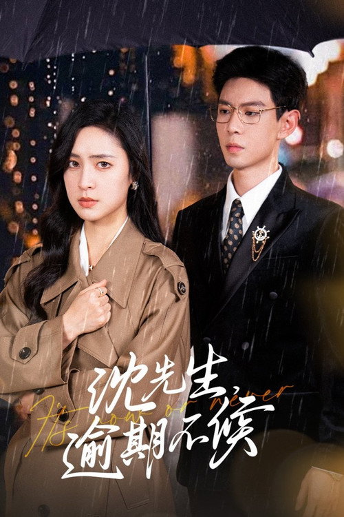 沈先生，逾期不候 封面