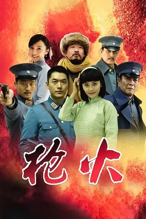 枪火 封面
