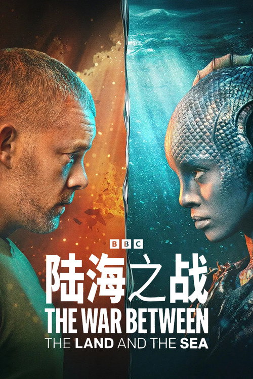 陆海之战 封面