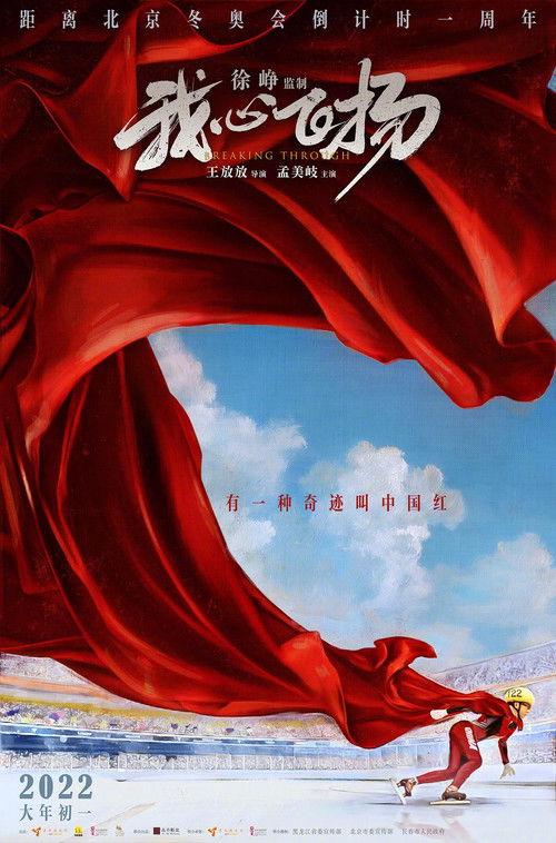 我心飞扬 封面