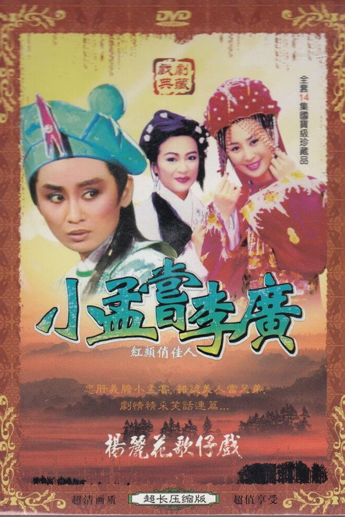 红尘奇英 封面