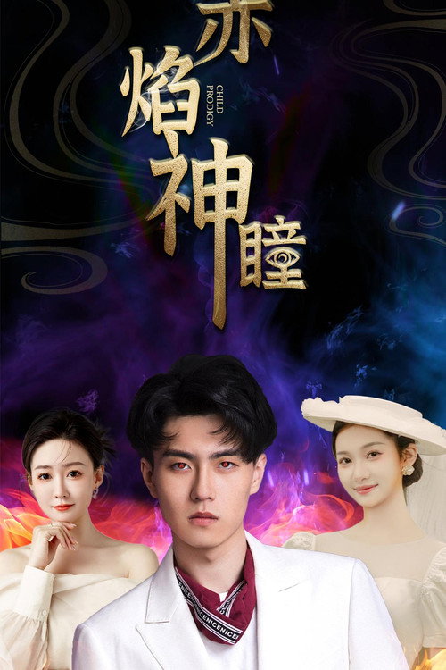 赤焰神瞳 封面