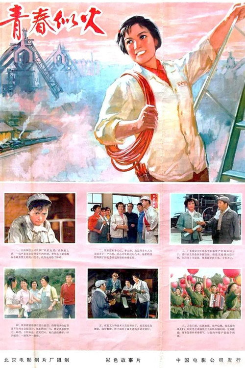 青春似火 封面
