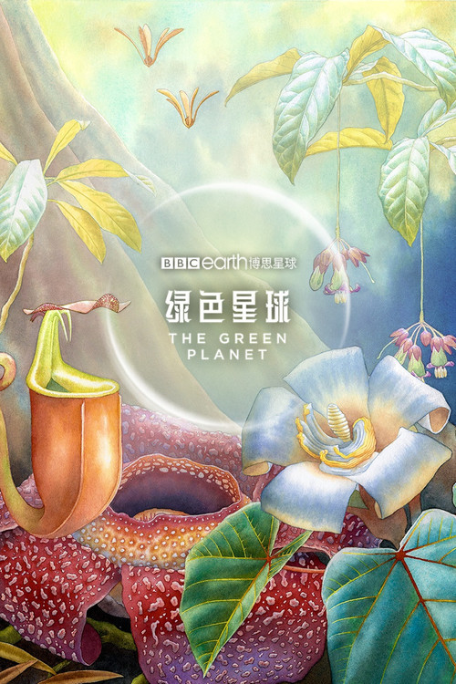 绿色星球番外 封面