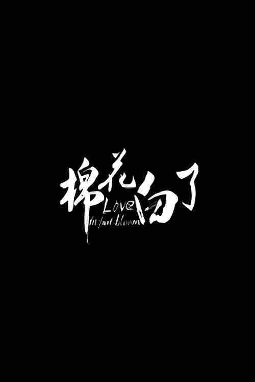 棉花白了 封面