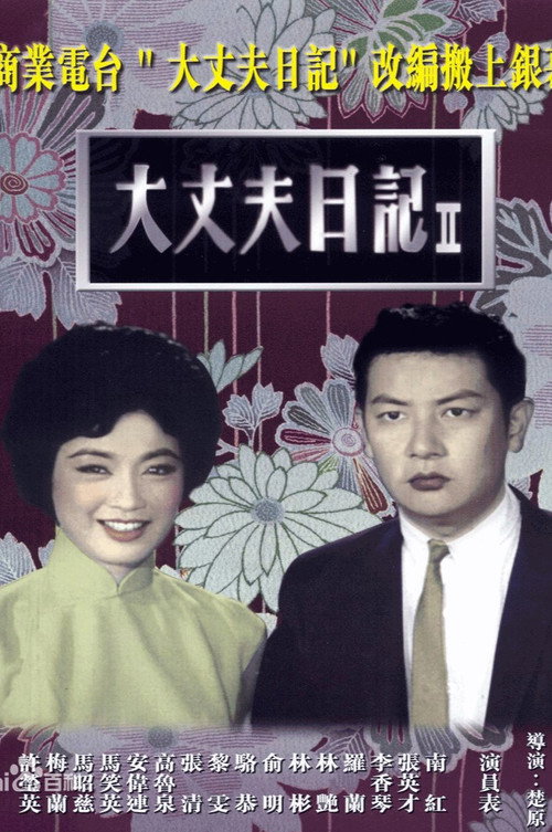 大丈夫日记(下集) 封面