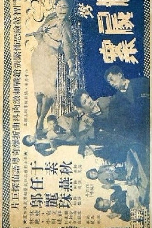 女侠黄莺夜破三尸案 封面