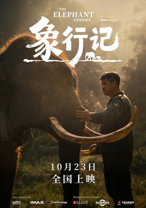 象行记 封面