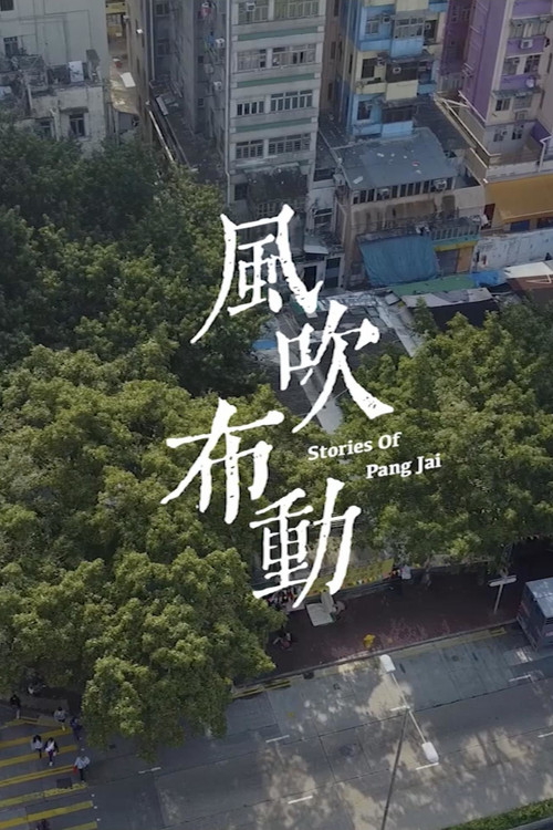 風吹布動 封面