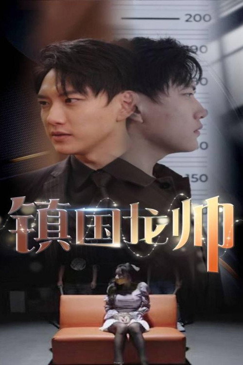 镇国龙帅 封面