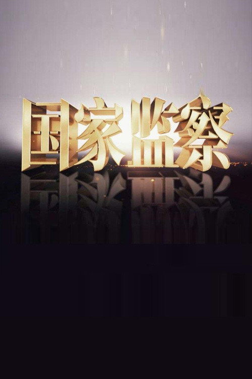 国家监察 封面