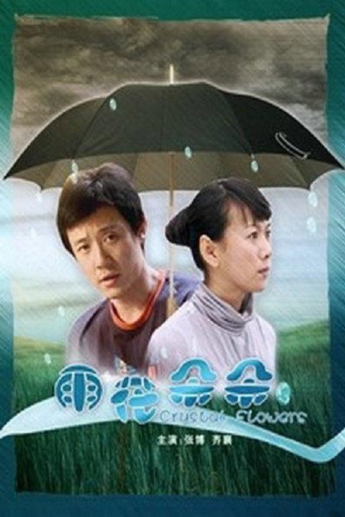 雨花朵朵 封面