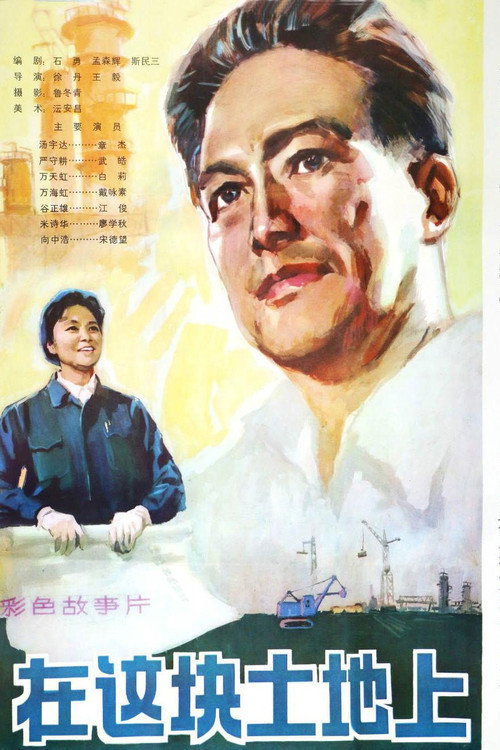 在这块土地上 封面
