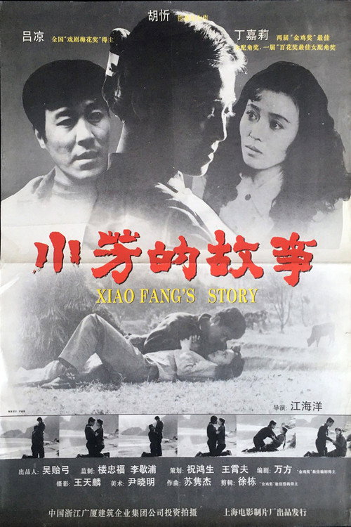小芳的故事 封面