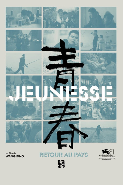 青春（归） 封面