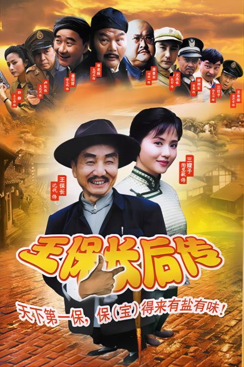 王保长后传 封面