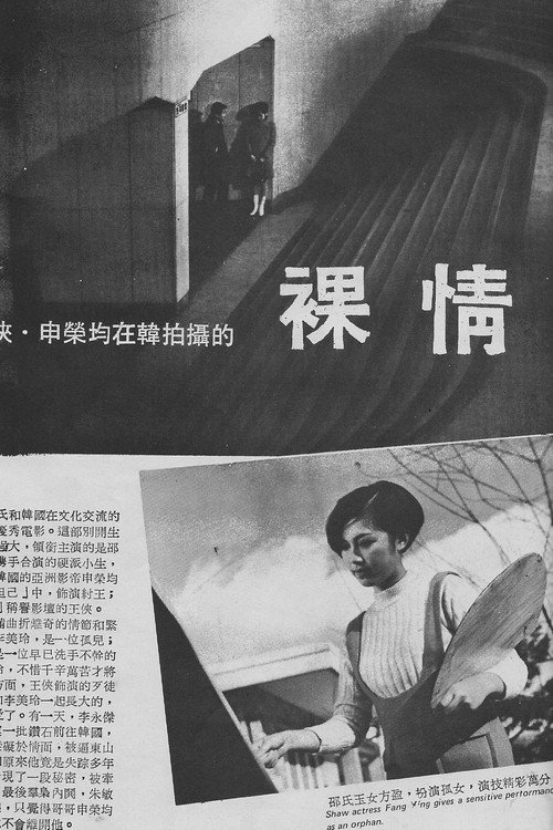 Luo Qing 封面
