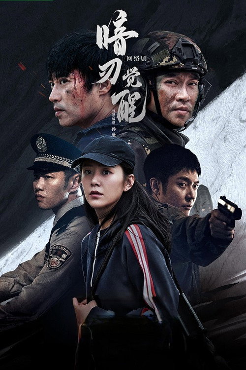 暗刃觉醒 封面