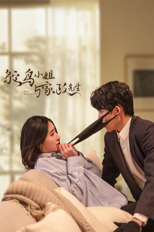鸵鸟小姐与家政先生 封面