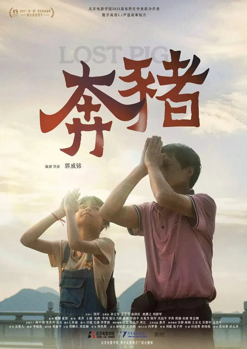 奔猪 封面