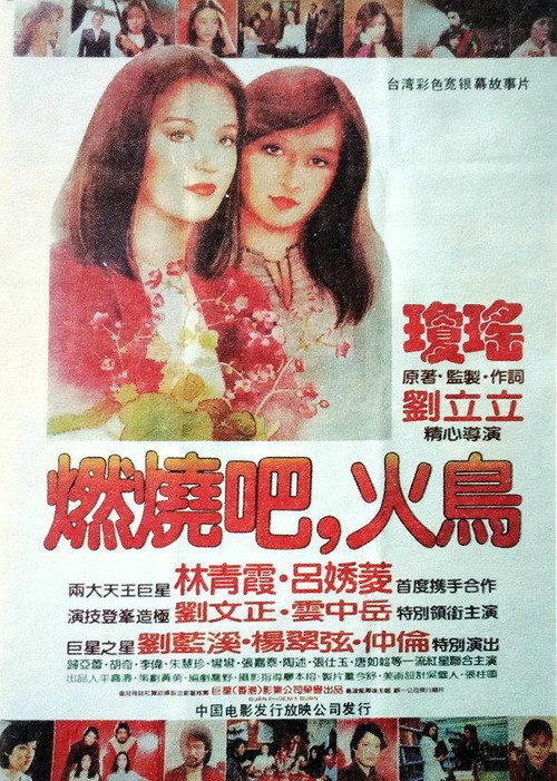 燃烧吧,火鸟 封面
