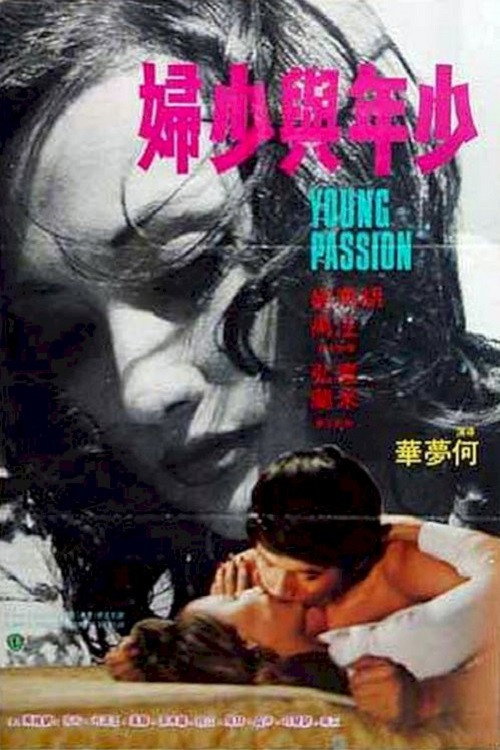 少年與少婦 封面