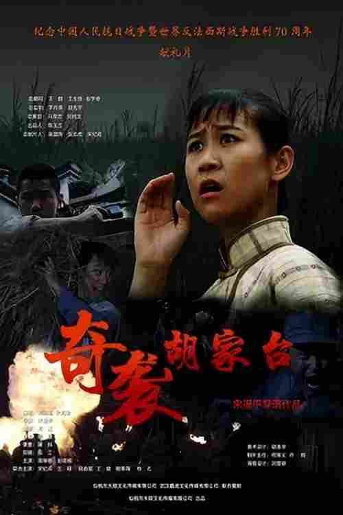 奇袭胡家台 封面