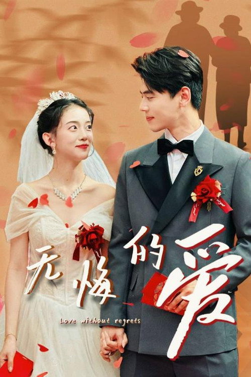 无悔的爱 封面