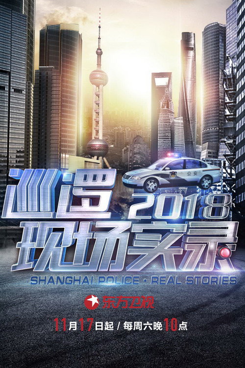 巡逻现场实录 封面