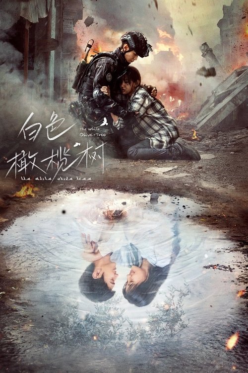 白色橄榄树 封面