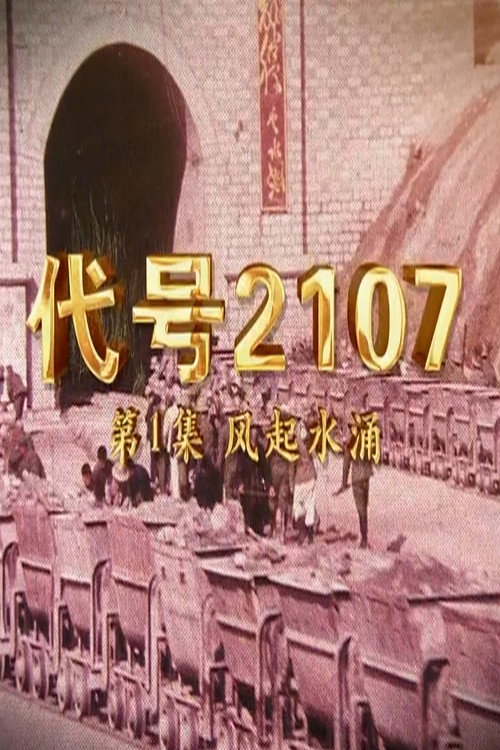 代号2107 封面